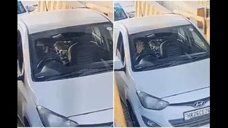 CCTV Video Shows Delhi Suicide Bomber Umar Nabi Driving Explosive-Laden Car At Badarpur Border