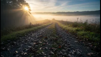 A Weekly View Is More Useful Than Obsessing Over One Bad Day