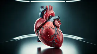 Heart Health: 5 Everyday Habits to Avoid