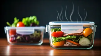 Plastic Lunchboxes Need A Heat Reality Check