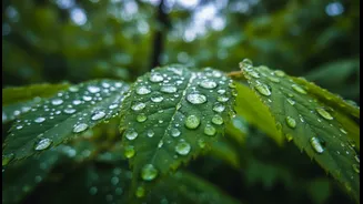 Rainy Weekends Need More Seasonal Menus And Local Food Trails