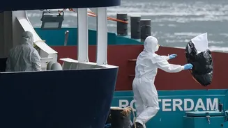 Cruise Ship Involved in Hantavirus Outbreak Undergoes Enhanced Cleaning Procedures