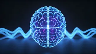 Unlocking Parkinson's Relief: The Hidden Brain Rhythm Guiding DBS Therapy