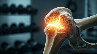 Bone Strength Is Driving The Lifting Conversation