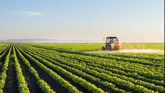 Budget 2026: Agri industry urges sustainable policies, food security focus