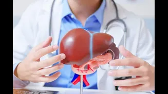 Can Liver Cancer Return After Surgery? A Doctor’s Guide To Recurrence, Risks And Warning Signs