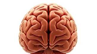 7 Habits for a Sharper Mind & Longevity