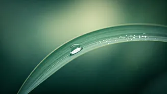 Unlock Inner Peace: A Beginner's Compass to Meditation