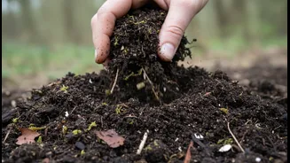 For Better Planning, a Compost Thermometer Is Optional; Texture and Smell Are Not