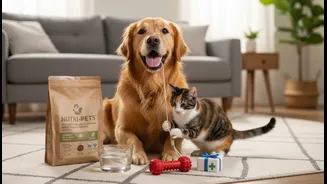 A Practical Pet Budget Begins With Essential Care Before Lifestyle Extras