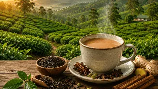 International Tea Day 2026: Date, history, theme and most popular types of chai in India