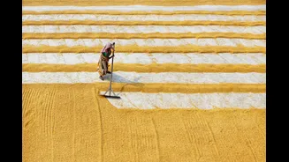 Congress Alleges Conflict of Interest in MoS Agriculture Subsidy Approval