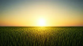 Millions Coordinate For Synchronized Mass Surya Namaskars This Coming Sunday