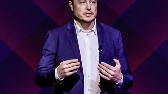 Musk Expects AI to Transform Work Before Society Can Fully Adapt