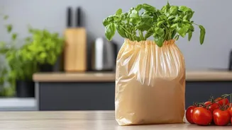 5 biodegradable essentials for sustainable living