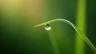 Unlock Inner Peace: 6 Japanese Philosophies to Tame Your Overthinking Mind