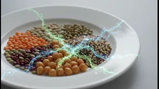 How amino acid absorption insights enhance the utility of plant-based protein scales