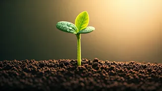 Unlock Your Potential: Psychological Keys to Lasting Success