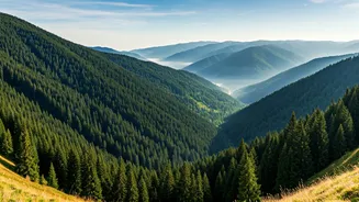 Jharkhand's Hidden Gem: Meghahatuburu's Untouched Beauty Astonishes Anand Mahindra