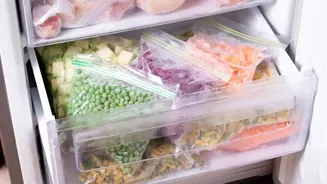 Frozen Foods, Instant Meals Gain Popularity Amid LPG Concerns