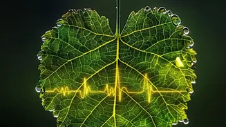Humidity Can Raise Perceived Effort Before Heart Rate Targets Change