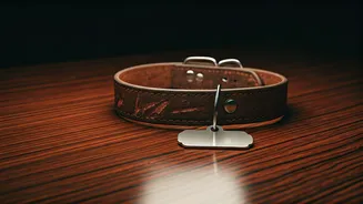 Anuj Sachdeva's Attack in Mumbai: Details Emerge