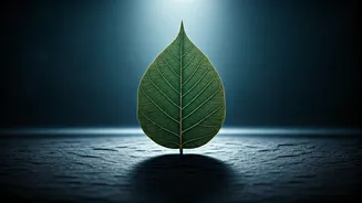 Masik Shivaratri 2026: Embrace Divine Blessings on March 17th