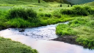 Want Nature Without Chasing Heavy Rain? Try These Places