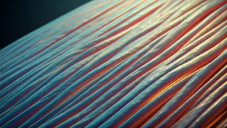 Shedding Light on Post-Menopause Eye Changes: Essential Insights for Women Over 50