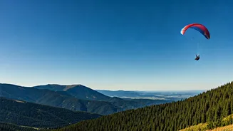 Fearless at 73: 'Adventure Dadi' Soars in Himachal's Viral Paragliding Video