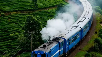 The New August Special Train Schedule Leaves Rail Travellers with One Main Check: Alternate Dates