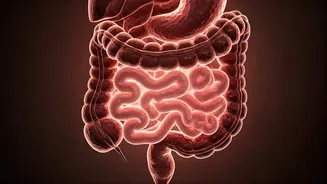 Monsoon Gut Health Needs Practical Service Journalism