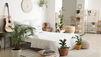 Dormir com plantas no quarto faz mal? A ciência explica por que esse mito não faz sentido