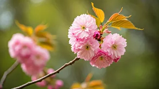 Shillong Beckons: 3 Reasons to Explore Now!