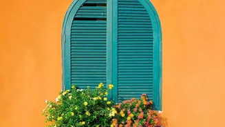 Urban Homes Are Adding Colour With Easy-Growing Monsoon Balcony Flowers