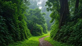 Rain Makes Kerala Even More Magical