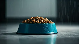 Rainy Season Pet Care Begins In The Bowl