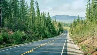 A Permit and Careful Planning Are Essential for the Mago Drive