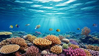 Dive into Paradise: Top Global Snorkeling Havens for Every Skill Level