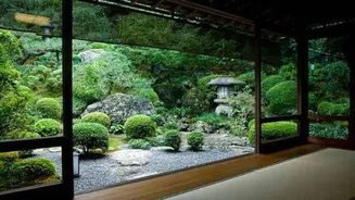 How to create a zen plant nook at home