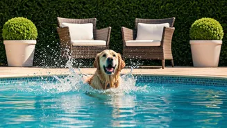 Furry Friends Make Waves At Luxury Boarding Splash Parties