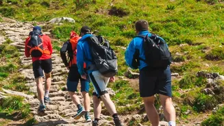 Nordic Walking's Fitness Revival Makes Beginner-Friendly Form A Practical Priority