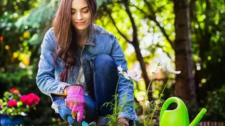 The Latest August Gardening Advice Puts Careful Watering In Focus