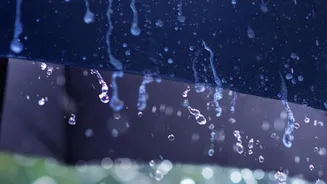 Rain Can Depend on Distant Evaporation More Than Local Water