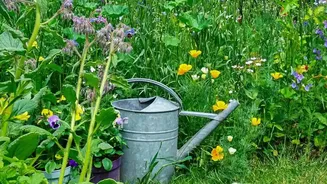 Why The Latest August Gardening Advice Strengthens The Case For Climate-Suitable Plants