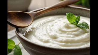 Is Your Curd Getting Sour Quickly? Here’s How to Keep It Fresh In Summers