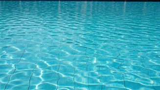 Midday Swimming Becomes The Ultimate Humid Summer Cardio Choice Online