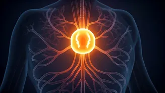 Navigating the Waves of Wellness: Your Weekly Health and Hormones Update