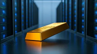 Digital Gold Under Scrutiny: What Investors Need to Know