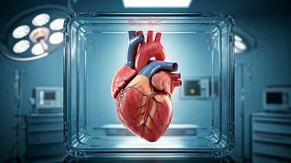 Heart Health: Top Threats and Healthy Habits